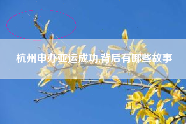 杭州申办亚运成功,背后有哪些故事