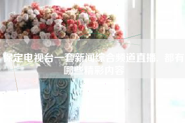 保定电视台一套新闻综合频道直播, 都有哪些精彩内容
