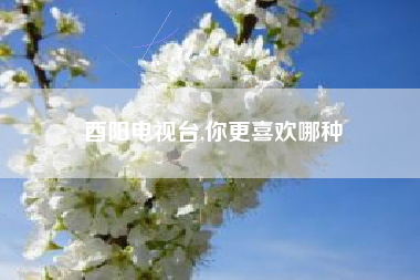 酉阳电视台,你更喜欢哪种