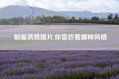 制服诱惑图片,你喜欢看哪种风格