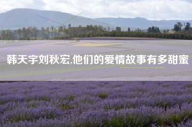 韩天宇刘秋宏,他们的爱情故事有多甜蜜