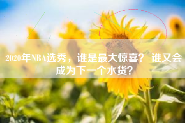 2020年NBA选秀,谁是最大惊喜? 谁又会成为下一个水货?