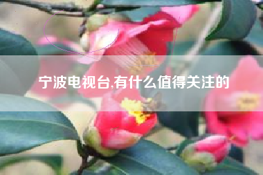 宁波电视台,有什么值得关注的