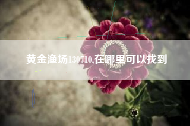 黄金渔场130710,在哪里可以找到