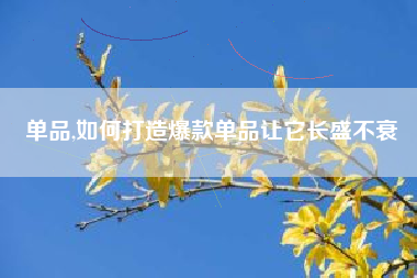 单品,如何打造爆款单品让它长盛不衰