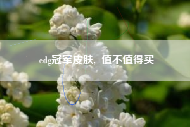 edg冠军皮肤, 值不值得买