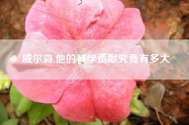 威尔森,他的科学贡献究竟有多大