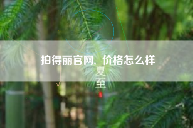 拍得丽官网, 价格怎么样