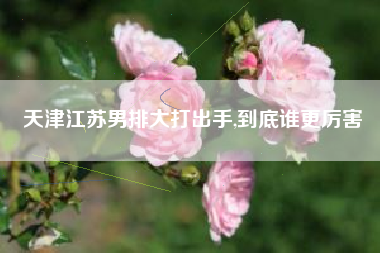 天津江苏男排大打出手,到底谁更厉害