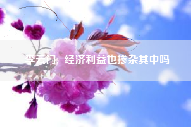 李云门,  经济利益也掺杂其中吗