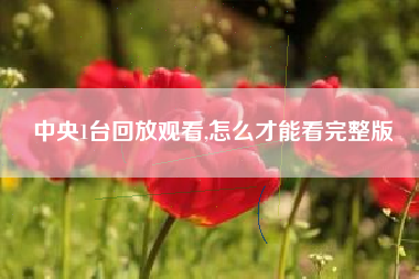 中央1台回放观看,怎么才能看完整版