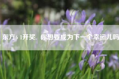 东方6 1开奖,  你想要成为下一个幸运儿吗