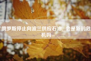 俄罗斯停止向波兰供应石油,  会是新的危机吗