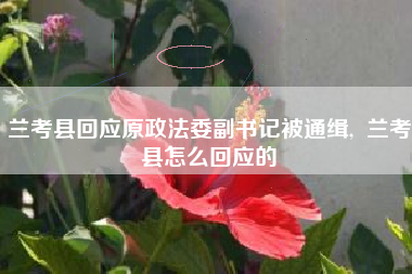 兰考县回应原政法委副书记被通缉,  兰考县怎么回应的