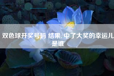 双色球开奖号码 结果, 中了大奖的幸运儿是谁