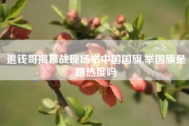 退钱哥揭幕战现场举中国国旗,举国旗是蹭热度吗