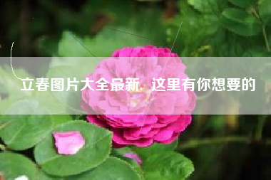 立春图片大全最新,  这里有你想要的
