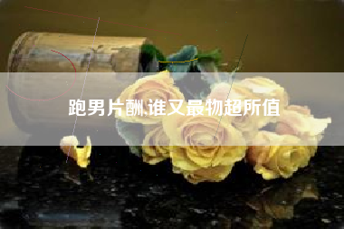 跑男片酬,谁又最物超所值