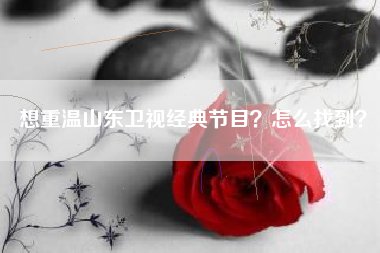 想重温山东卫视经典节目？怎么找到？
