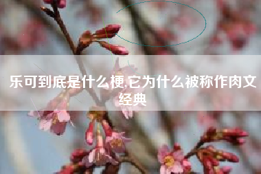 乐可到底是什么梗,它为什么被称作肉文经典