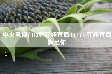 中央电视台13套在线直播,CCTV13在线直播满足你