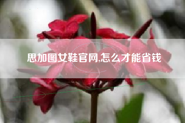 思加图女鞋官网,怎么才能省钱