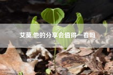 艾莫,他的分享会值得一看吗