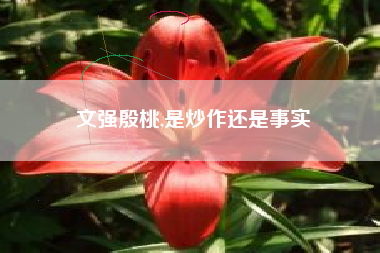 文强殷桃,是炒作还是事实