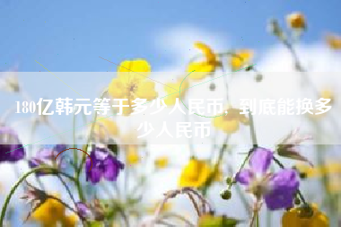 180亿韩元等于多少人民币,  到底能换多少人民币