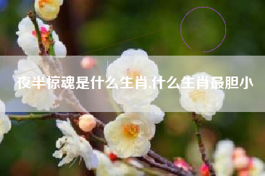 夜半惊魂是什么生肖,什么生肖最胆小