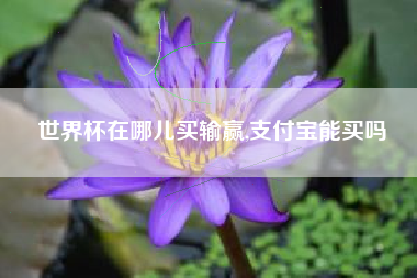 世界杯在哪儿买输赢,支付宝能买吗