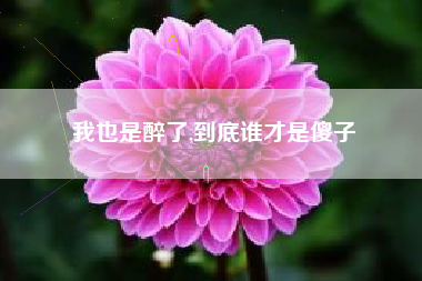 我也是醉了,到底谁才是傻子