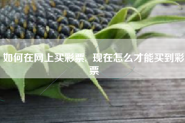 如何在网上买彩票,  现在怎么才能买到彩票