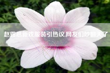 赵露思新戏服装引热议,网友们吵翻天了