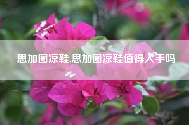 思加图凉鞋,思加图凉鞋值得入手吗