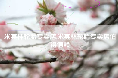 米其林轮胎专卖店,米其林轮胎专卖店值得信赖