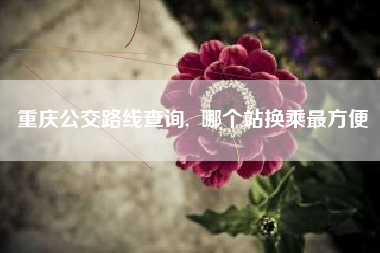 重庆公交路线查询,  哪个站换乘最方便