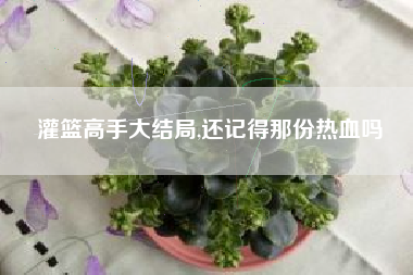 灌篮高手大结局,还记得那份热血吗