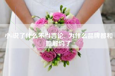 小s说了什么不当言论,  为什么品牌都和她解约了