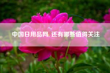 中国日用品网, 还有哪些值得关注