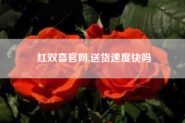 红双喜官网,送货速度快吗