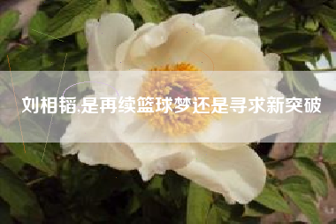 刘相韬,是再续篮球梦还是寻求新突破