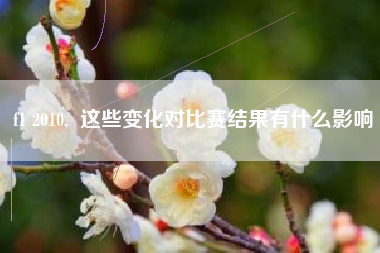 f1 2010,  这些变化对比赛结果有什么影响