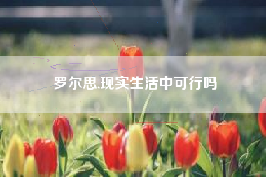 罗尔思,现实生活中可行吗