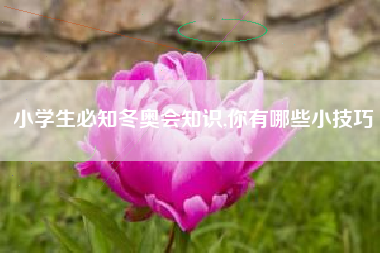 小学生必知冬奥会知识,你有哪些小技巧