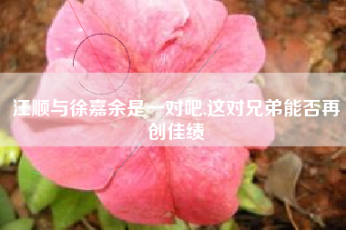 汪顺与徐嘉余是一对吧,这对兄弟能否再创佳绩