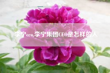 李宁ceo,李宁集团CEO是怎样的人