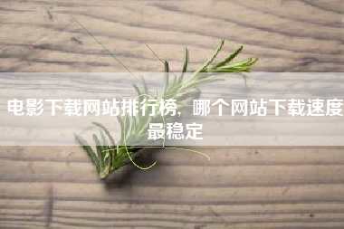 电影下载网站排行榜,  哪个网站下载速度最稳定