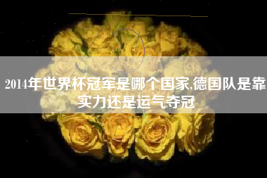 2014年世界杯冠军是哪个国家,德国队是靠实力还是运气夺冠