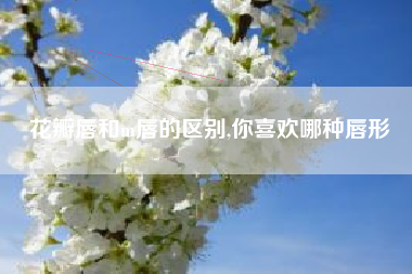 花瓣唇和m唇的区别,你喜欢哪种唇形